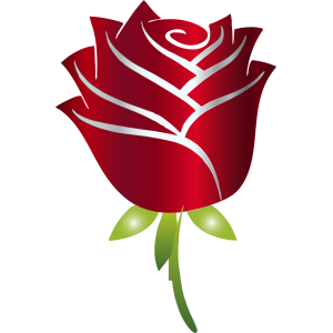 Cross Stitch Chart - Red Rose - Flower